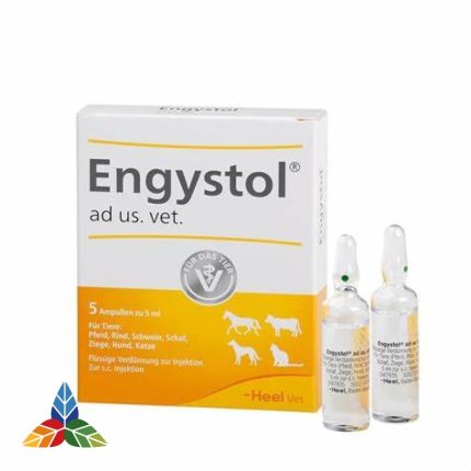 ENGYSTOL AD US.VET. - AMPOLLA X 5.0 ML
