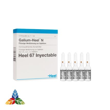 GALIUM - HEEL  N - AMPOLLA X 1.1 ML