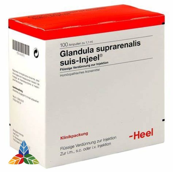 GLANDULA SUPRARENALIS SUIS INJEEL - HEEL AMPOLLA X 1.1 ML