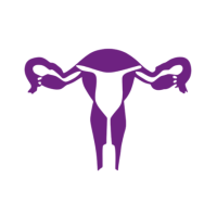 Ginecología y obstetricia.