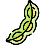 laguminosas